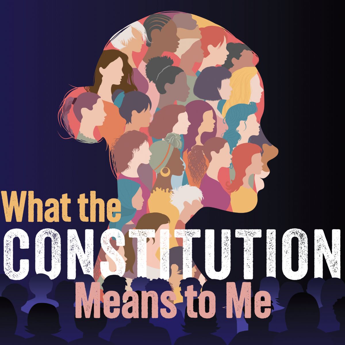 What the Constitution Means to Me