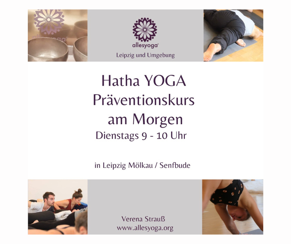 Hatha Yoga Präventionskurs am Morgen (von der KK bezuschusst)  